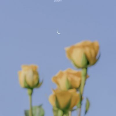 BOB体育登录APP下载