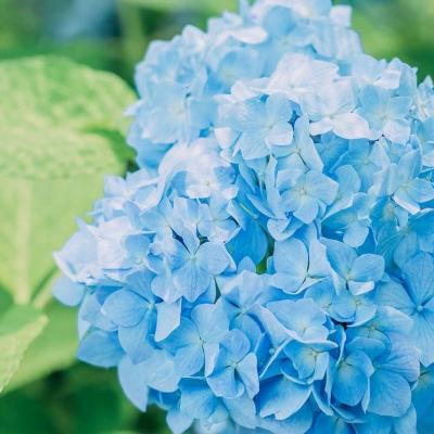 乐鱼游戏app在线登录下载手机版